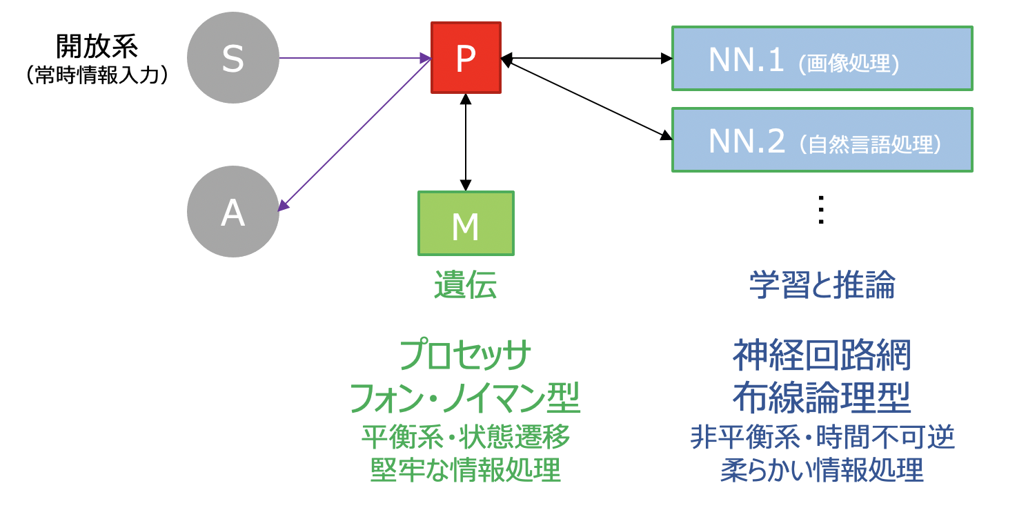 シリコン脳イメージ